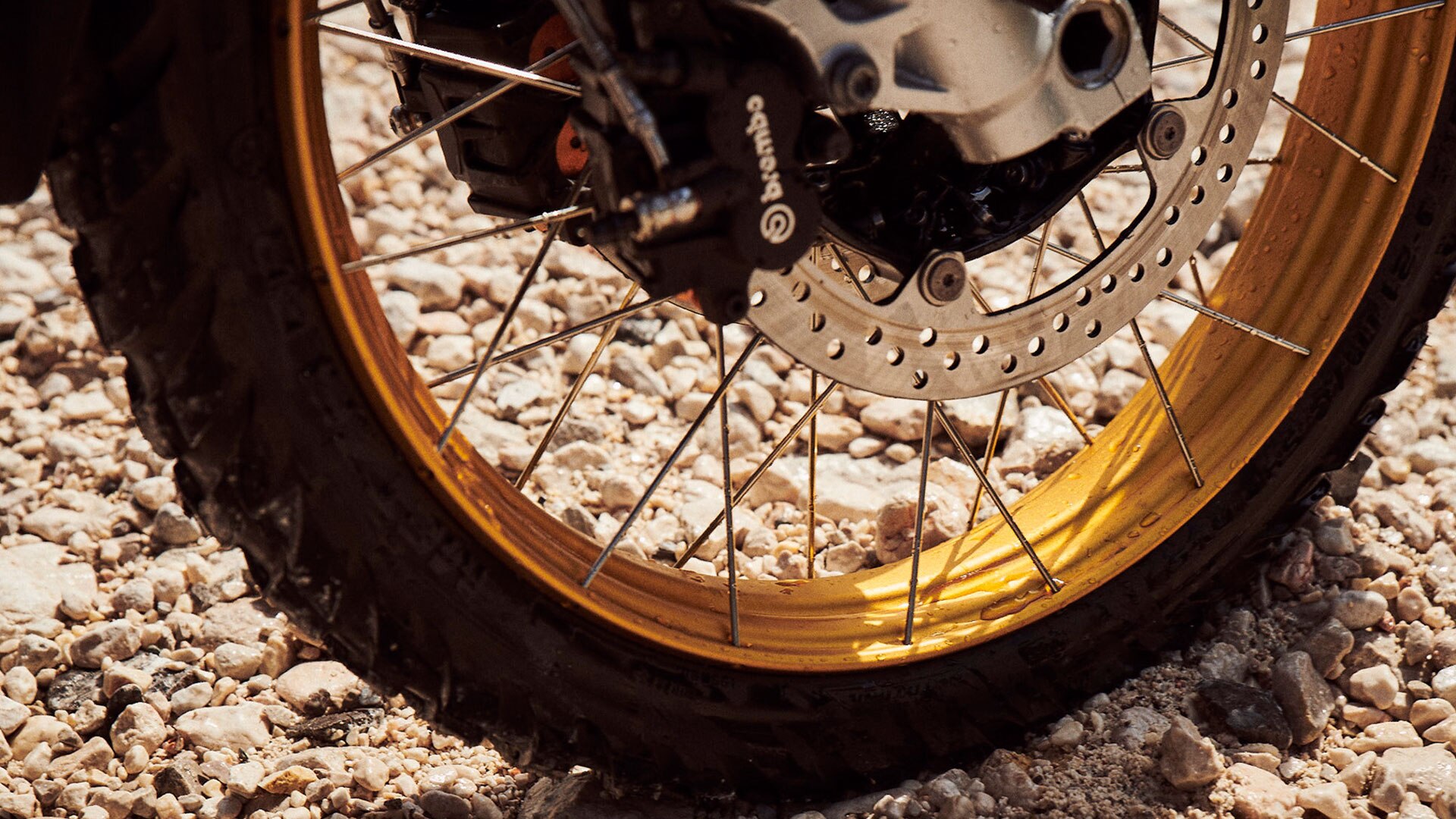 Детальное изображение переднего колеса нового BMW F 850 GS Adventure